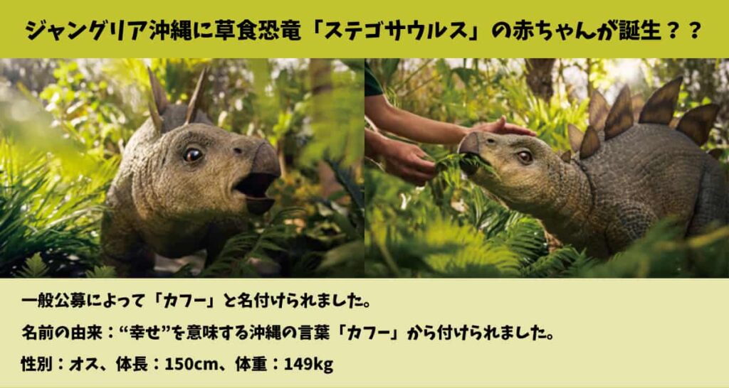 ジャングリア沖縄 恐竜誕生 一般公募 カフーという名前 沖縄の言葉カフーが由来 カフーは幸せを意味する