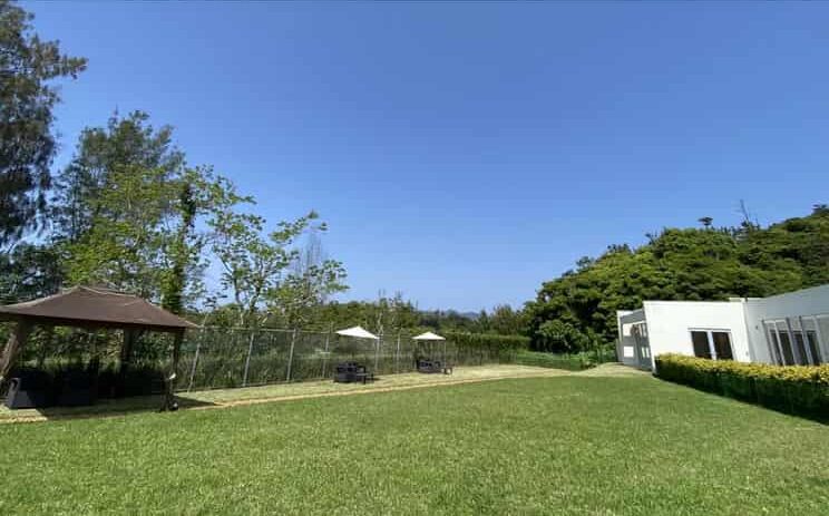 名護アグリパークドッグラン
ジャングリア沖縄 犬同伴
愛犬 観光地